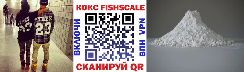 КОКАИН Fish Scale  Купить  Заволжье 